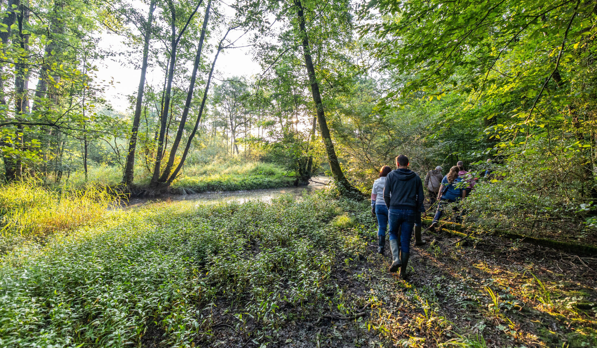Des randonneurs vus de dos traversant un coin de forêt à quelques mètres d’une rivière