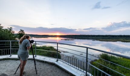 Une femme debout au milieu d’un poste d’observation regardant à travers une longue-vue en direction de l’étang de Virelles.
